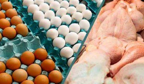 وزارت کشاورزی اعلام نمود: مرغ کیلویی 73 هزار تومان؛ تخم مرغ شانه ای 100 هزار تومان