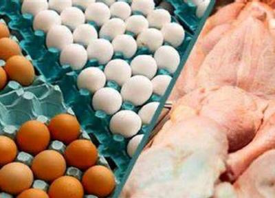 وزارت کشاورزی اعلام نمود: مرغ کیلویی 73 هزار تومان؛ تخم مرغ شانه ای 100 هزار تومان