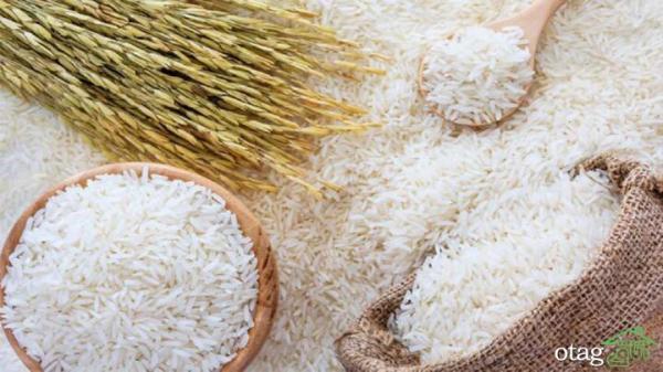 برترین زمان خرید برنج عمده